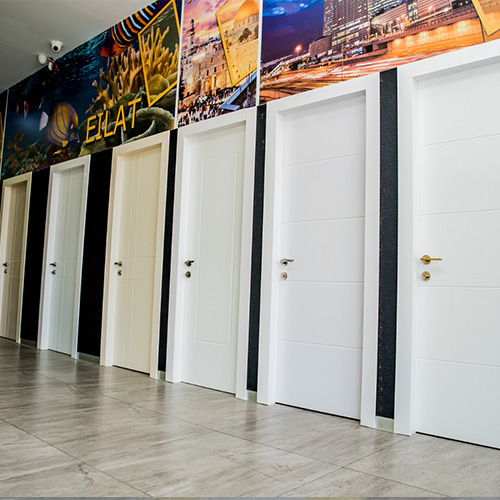 Read more about the article דלתות פולימריות